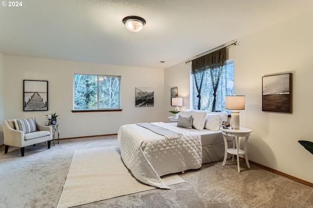 carpeted bedroom with multiple windows and a textured ceiling