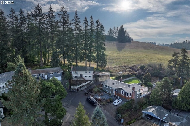 bird's eye view