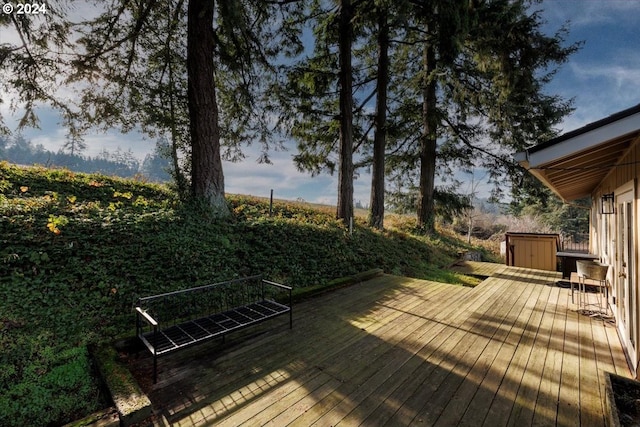 wooden deck with a storage shed