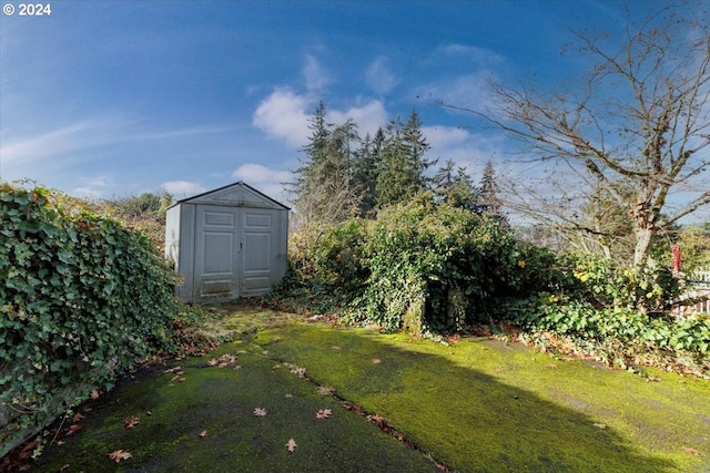 view of yard with an outdoor structure and a shed