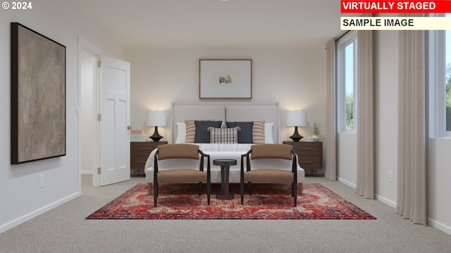 bedroom featuring carpet