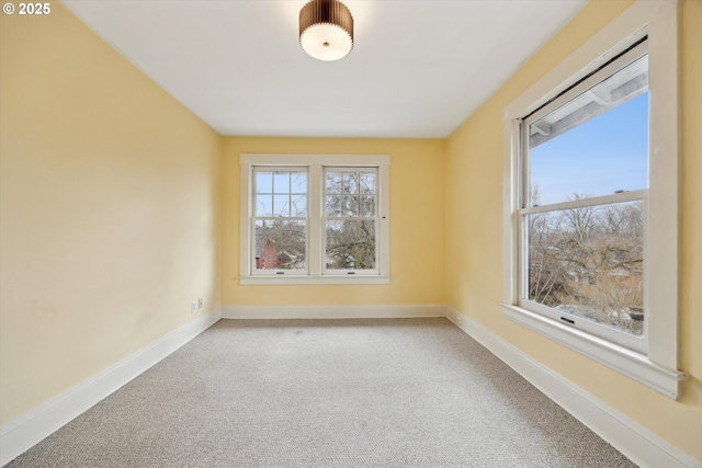 spare room with plenty of natural light, carpet, and baseboards