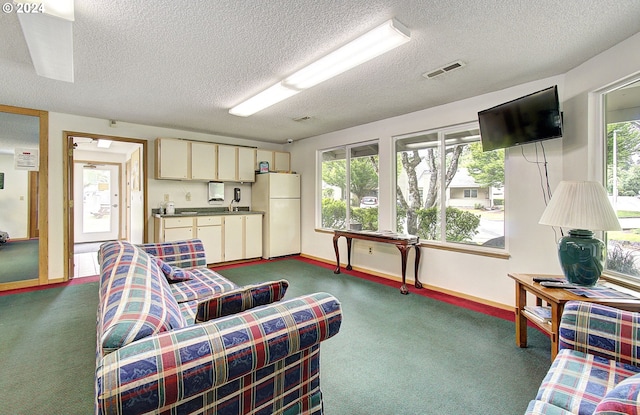 carpeted living room featuring a textured ceiling