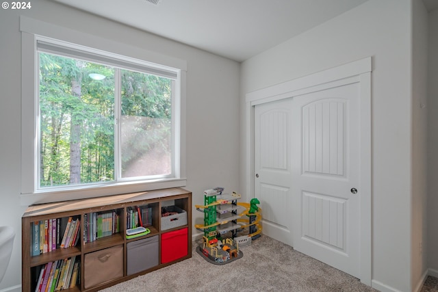 view of carpeted home office