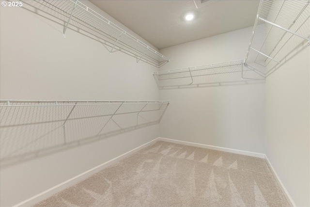 spacious closet featuring carpet