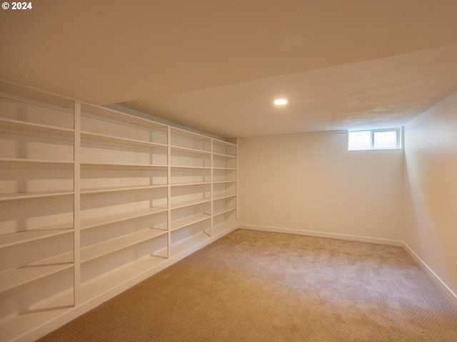 basement featuring carpet floors