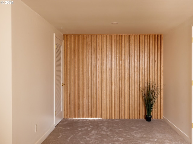 spare room featuring carpet floors