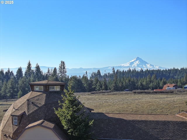 view of mountain feature featuring a wooded view