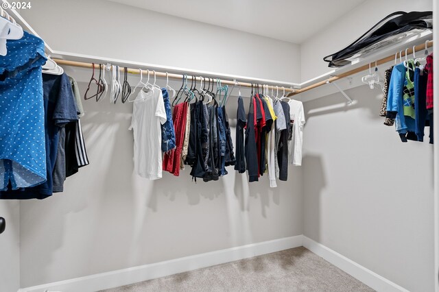 walk in closet with carpet floors