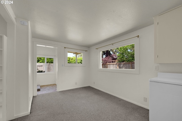 carpeted spare room featuring a textured ceiling and plenty of natural light