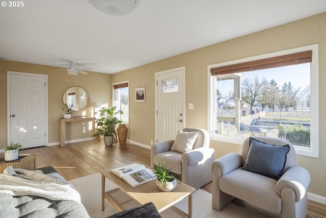 living room with ceiling fan and light hardwood / wood-style floors