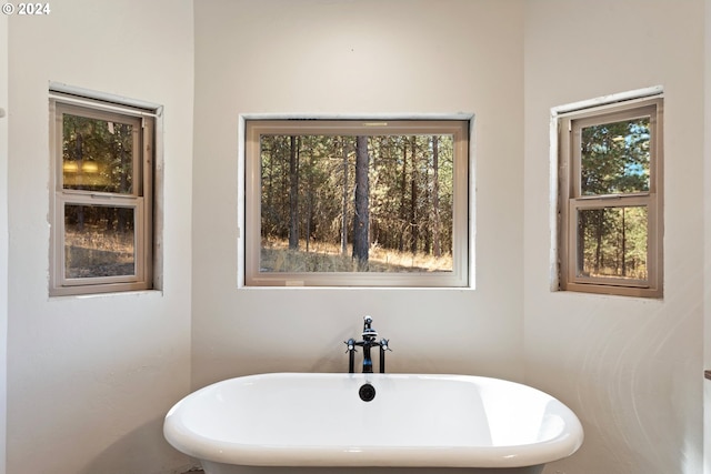 bathroom with a wealth of natural light and a tub