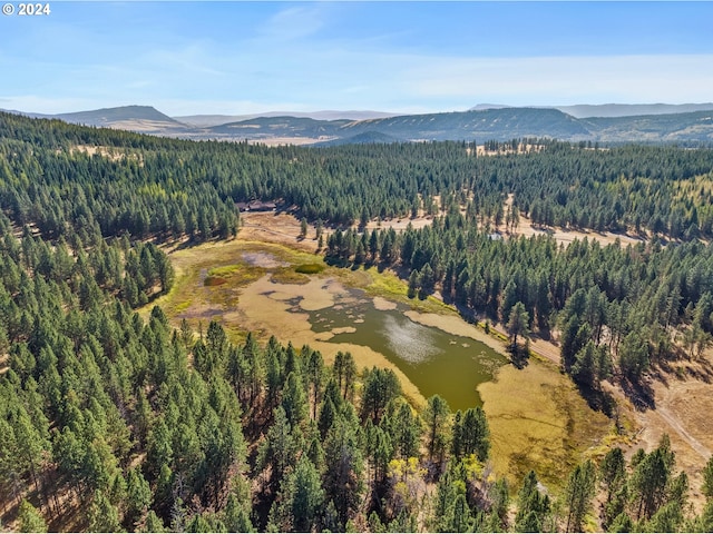 bird's eye view featuring a water and mountain view