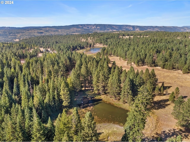 aerial view featuring a water and mountain view