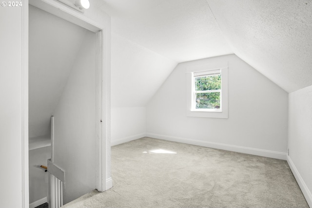 additional living space with light colored carpet, a textured ceiling, and vaulted ceiling