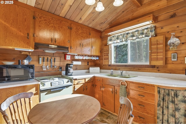 kitchen featuring wood walls, a sink, range with electric cooktop, black microwave, and under cabinet range hood