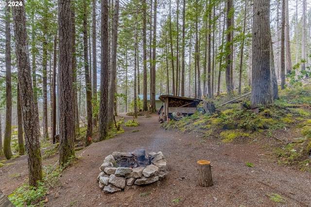 view of yard featuring a fire pit and a view of trees