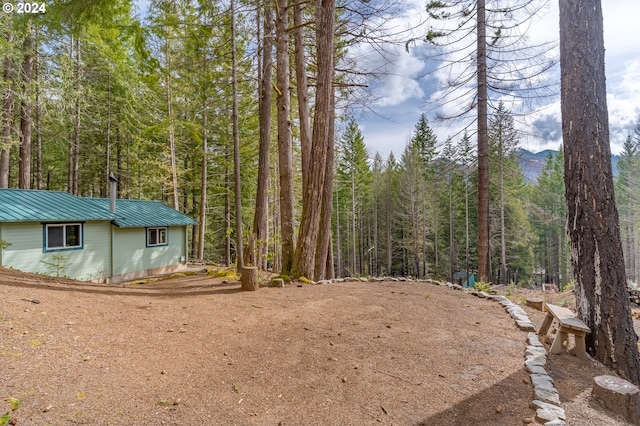 view of yard featuring a wooded view