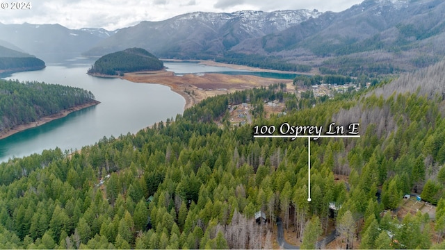 bird's eye view with a view of trees and a water and mountain view