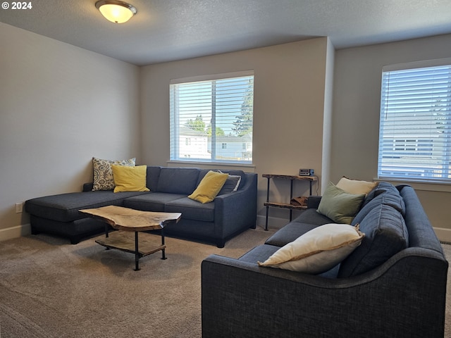 living room featuring light carpet