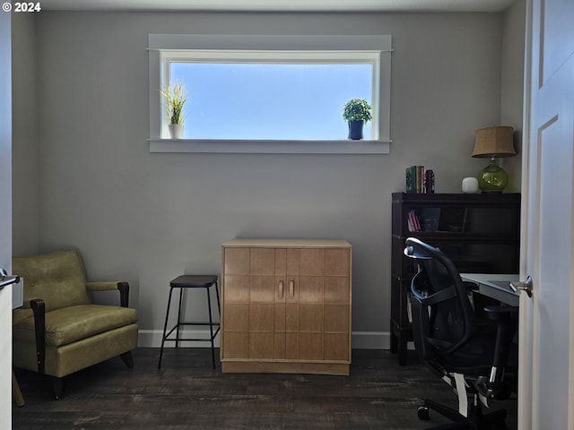 office with a wealth of natural light and dark hardwood / wood-style floors