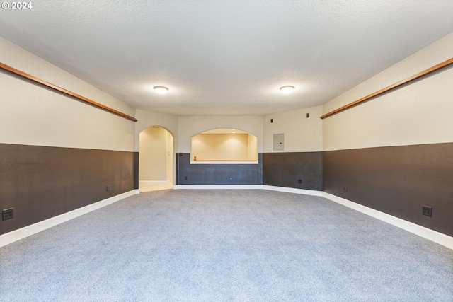 spare room featuring electric panel, carpet, and a textured ceiling