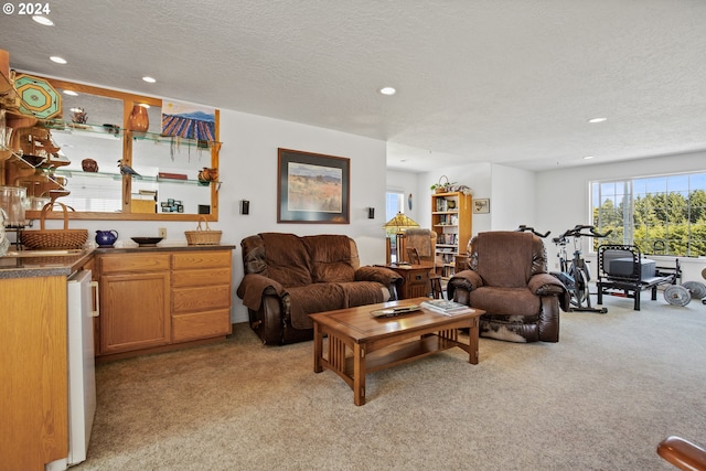 carpeted living room featuring a textured ceiling