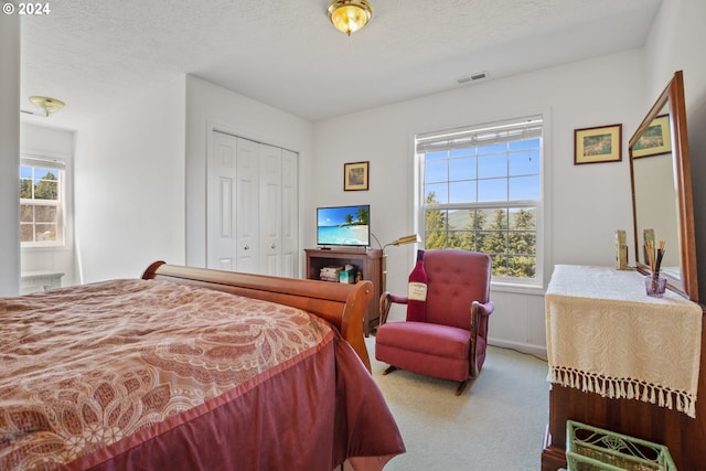 bedroom featuring carpet flooring, a textured ceiling, a closet, and multiple windows