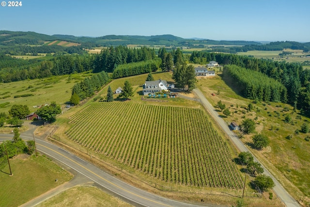 drone / aerial view with a mountain view and a rural view