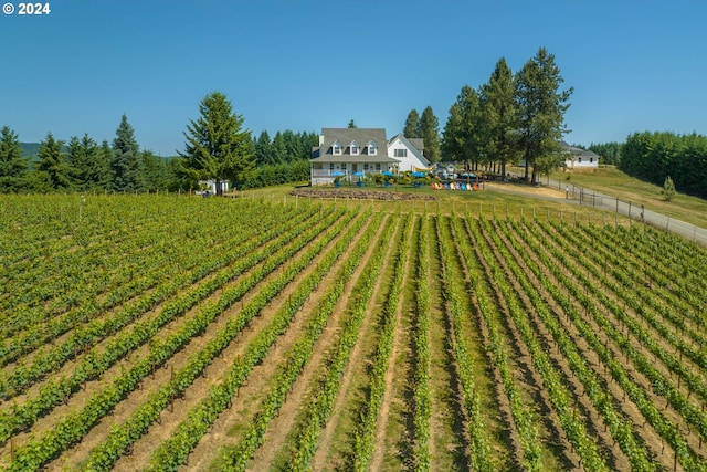 view of yard featuring a rural view