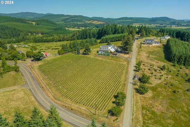 drone / aerial view with a mountain view and a rural view