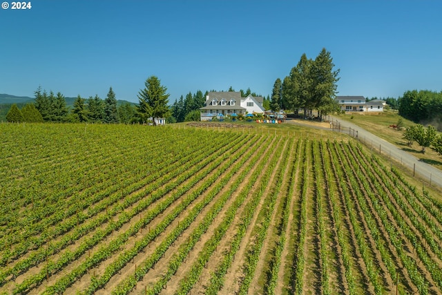 view of yard featuring a rural view