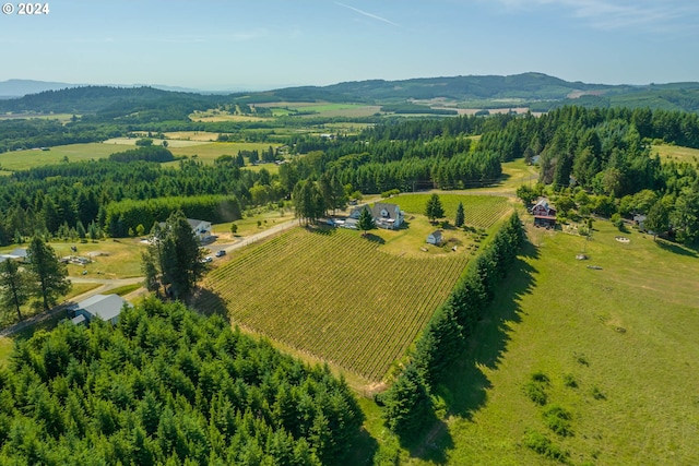 bird's eye view featuring a mountain view and a rural view