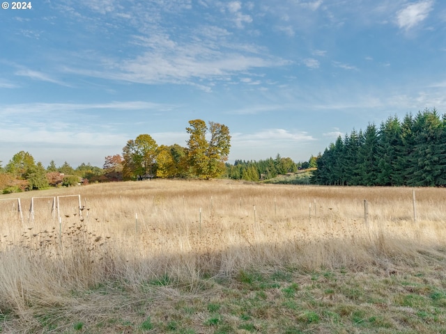 view of local wilderness featuring a rural view