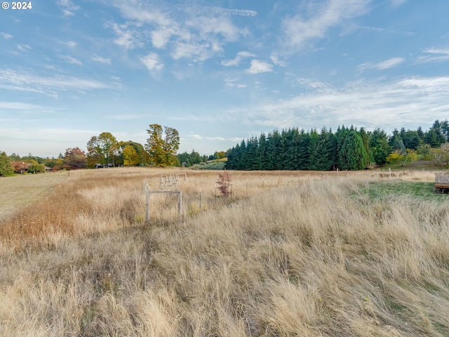 view of landscape with a rural view