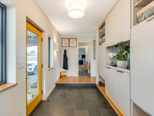 mudroom with dark wood-type flooring