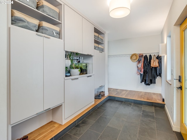 mudroom featuring dark wood-type flooring