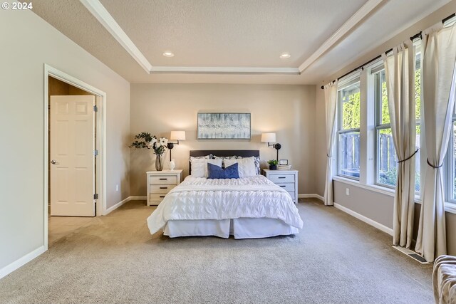 carpeted bedroom featuring a raised ceiling and a textured ceiling