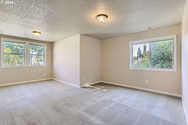 carpeted spare room featuring a textured ceiling