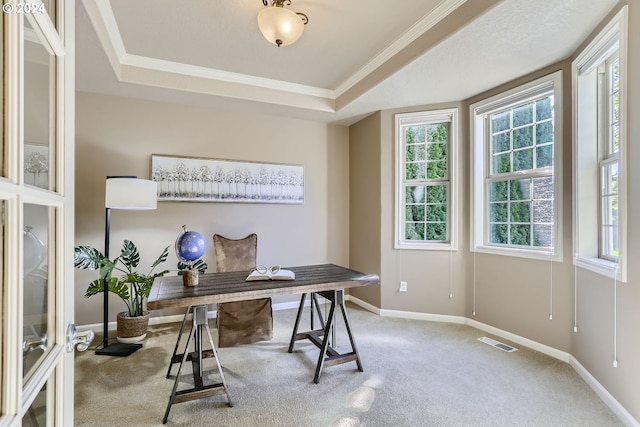 carpeted home office featuring a raised ceiling and crown molding