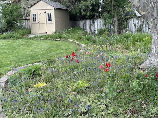 view of yard featuring a shed