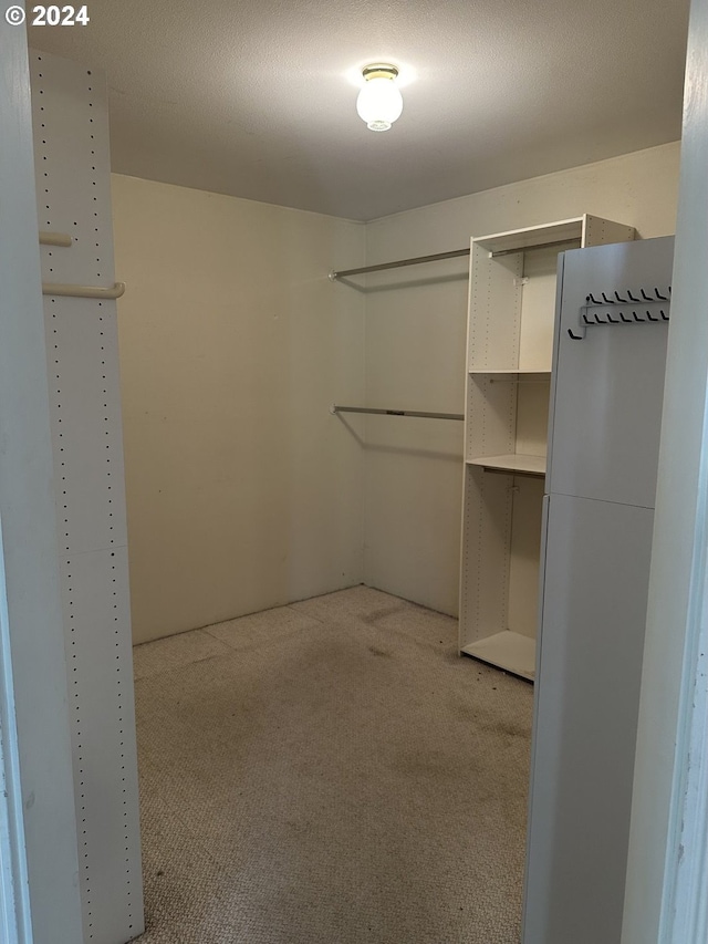 spacious closet with light colored carpet