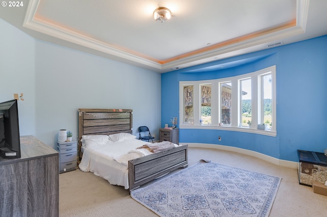 carpeted bedroom with a raised ceiling