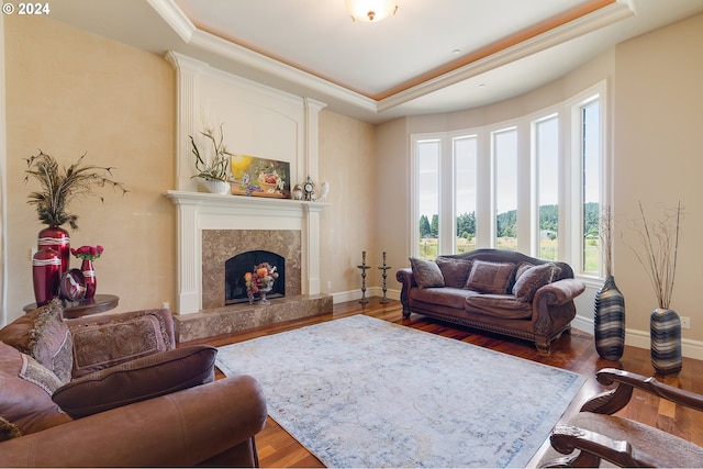 living room with dark hardwood / wood-style flooring, a premium fireplace, and a tray ceiling