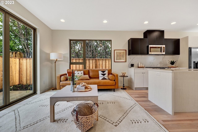 living room with light hardwood / wood-style flooring