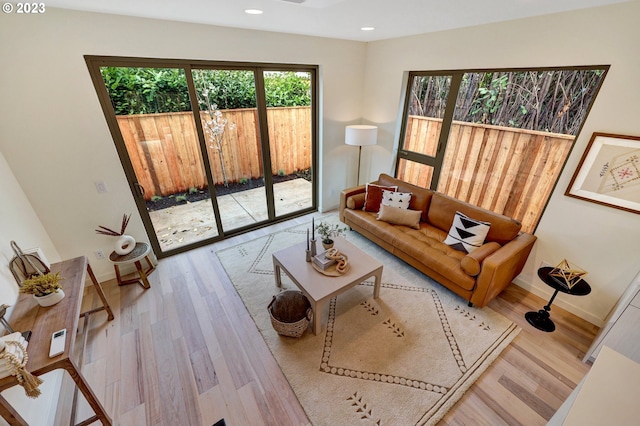 living room featuring hardwood / wood-style flooring