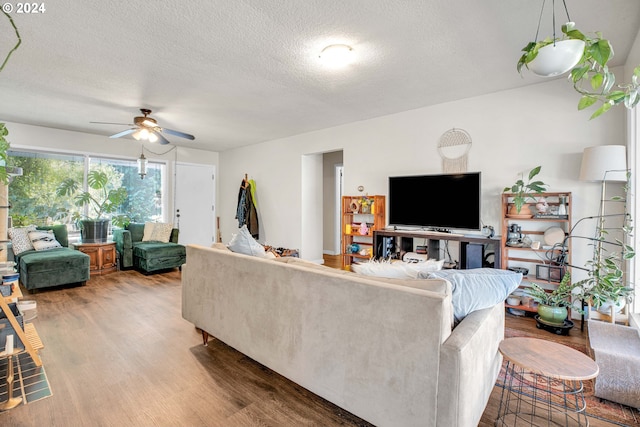 living room featuring wood-type flooring, ceiling fan, and a textured ceiling