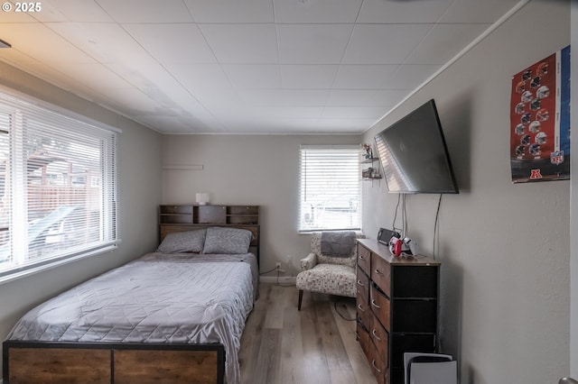 bedroom featuring wood-type flooring