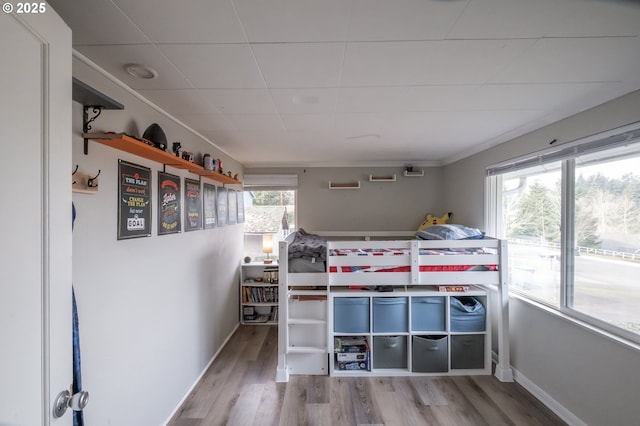 bedroom featuring multiple windows and hardwood / wood-style flooring