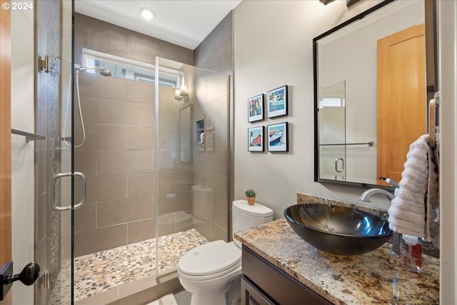 bathroom with vanity, an enclosed shower, and toilet